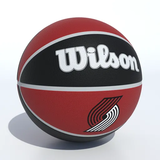 Wilson Portland Trail Blazers Basketball
