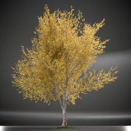 Tree Princeton Sentry Animated