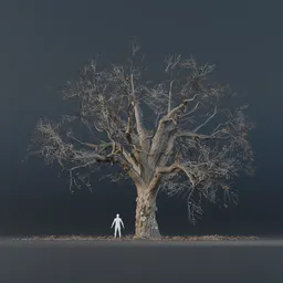 Oak Tree - Fully Grown (Winter)