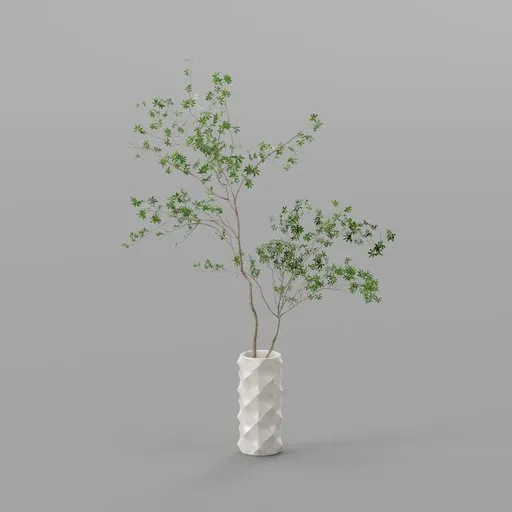 Green Branches in White Geometric Vase