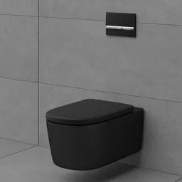 Toilet (Wall Hung Toilet)
