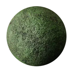Moss
