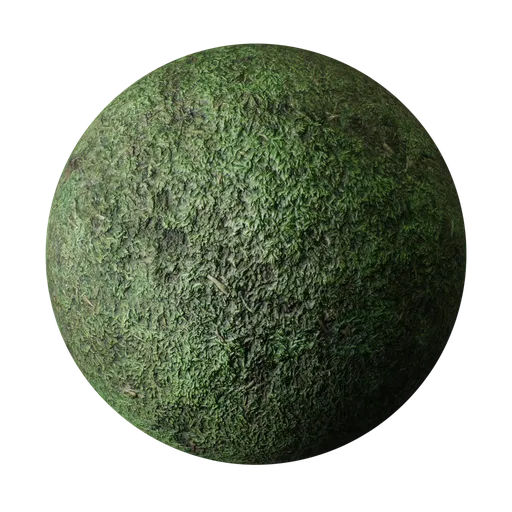 Moss