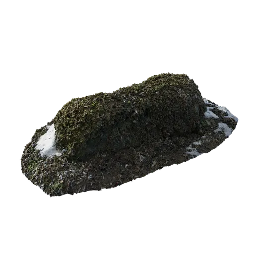 Mossy Stone