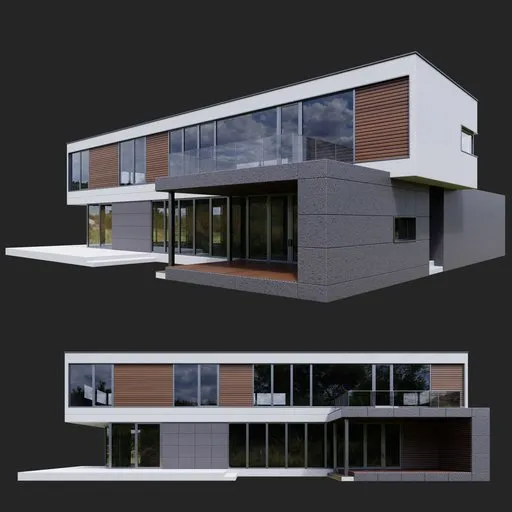 Modern Minimalist Villa