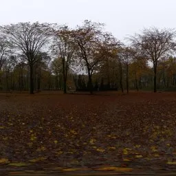Autumn Hockey