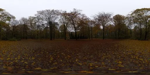 Autumn Hockey