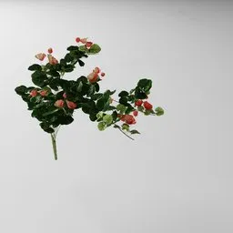 "Artificial creeper Red geranium vase 3D model for Blender 3D - nature indoor category. Inspired by real products, with overgrown foliage and small red roses. Geometry nodes created with Bagapia addon for easy modification."
