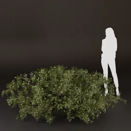 SJ-Soft Light Foliage Bush