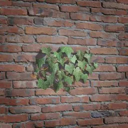 Ivy Creeper Patch 02