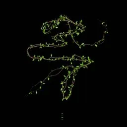 Climbing Vine - Leaf 10