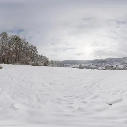 Snowy Hillside