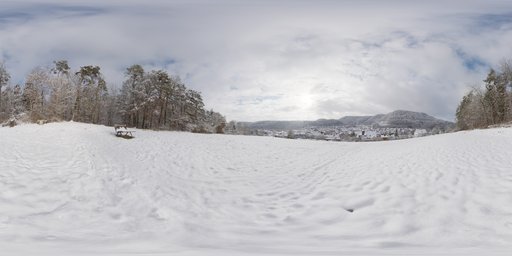 Snowy Hillside