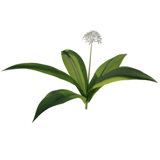Green Leafs with Petals	2