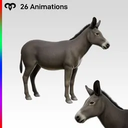 Female Donkey Animated
