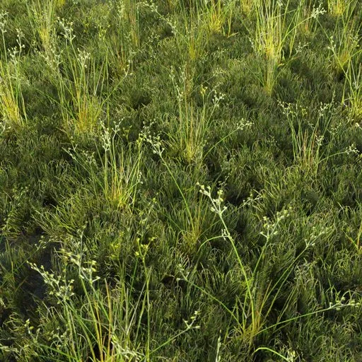 Grass Generic Large Cord