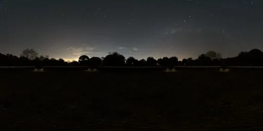 Nighttime garden HDR panorama with hedges and purple flowers perfect for lighting 3D scenes.