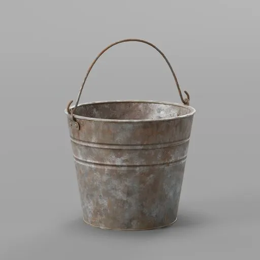 Old Rusty Bucket