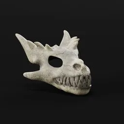 Dragon Skull Head Model