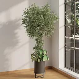 Sculpted Indoor Green Tree