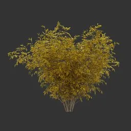 Bush Autumn Plant