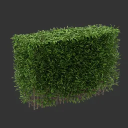 Multiple Hedge Bush Q