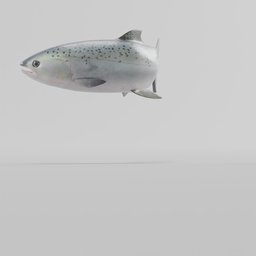 Common Fish