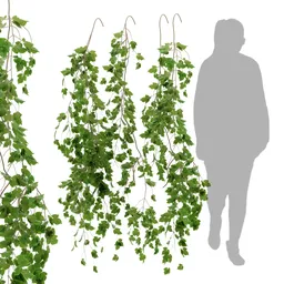 simple hanging wall plant