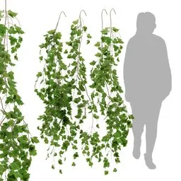 simple hanging wall plant AQ