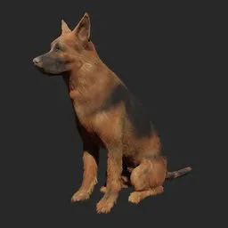 "German Shepherd Dog 3D Model for Blender 3D: Photorealistic quadruped with optional hair particles. Inspired by Ditlev Blunck and Maurice Reymond, this 3D dog model is perfect for Unreal Engine 5, Arma 3, Matlab, and scenario assets. Named 'Greeny,' it features grainy color restoration and painterly brushwork."
