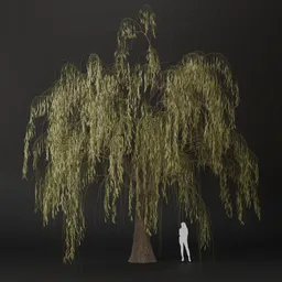 SJ-Rustling Whisper Tree