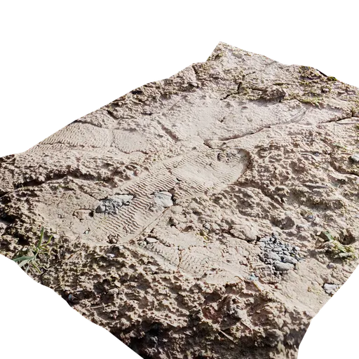 Shoeprint