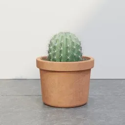 Desert Mini Cactus Pot
