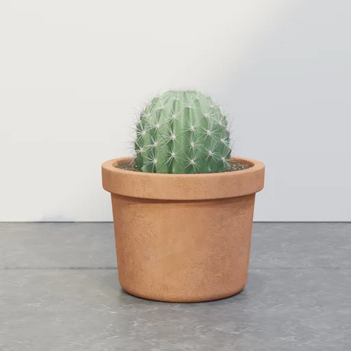 Desert Mini Cactus Pot