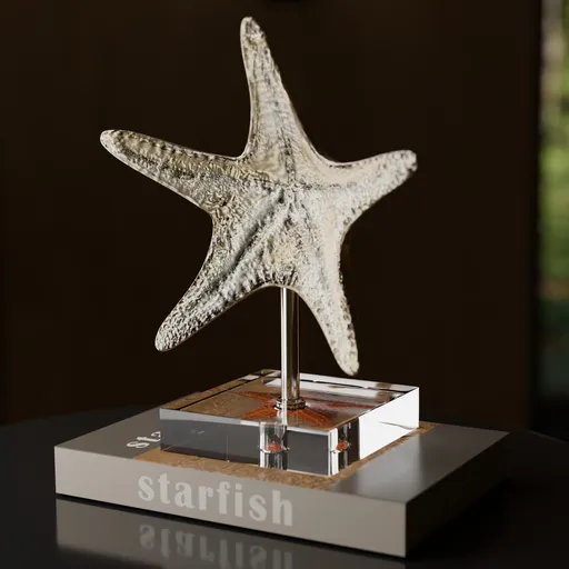 Book and StarFish