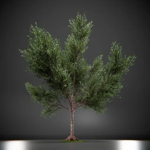 Callery Tree Low Poly Animated