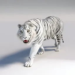 White Tiger
