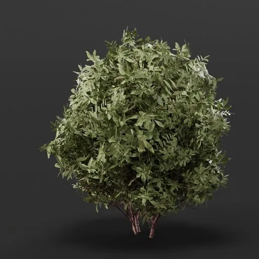 Detailed 3D model of a lush, realistic bush for Blender, suitable for game environments and various outdoor scenes.