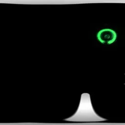 Black White Light Studio