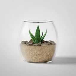 "3D Succulent Pot model in Blender 3D with glass vase, sand, and rocks. Interior setting with a small plant, shallow depth of field, and black background. Ideal for nature-indoor renders and available on the UE Marketplace."