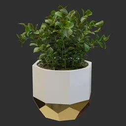 Modern Faceted Planter