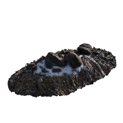 Cow dung