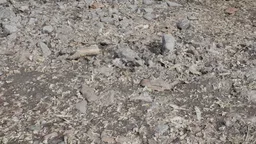 Photorealistic 3D scanned texture of rock and bark for Blender rendering, ideal for natural scenes.