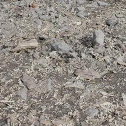 "Photorealistic 3D model of a stone and dry bark surface, created using photogrammetry techniques in Blender 3D, perfect for landscape designs and visualizations."