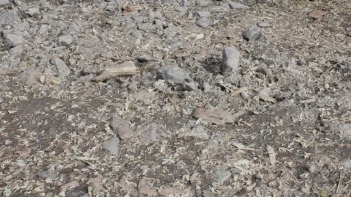 Photorealistic 3D scanned texture of rock and bark for Blender rendering, ideal for natural scenes.