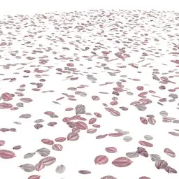 Ground Cherry blossom petals