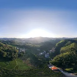 Daytime dealer's land