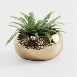 Realistic textured gold plant pot with lush green fern, perfect for Blender 3D nature scenes.