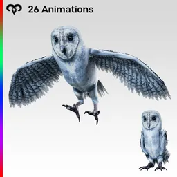 Male Owl Bird Animated