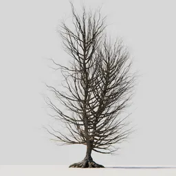 Detailed leafless 3D tree model with intricate branches and visible roots, compatible with Blender.